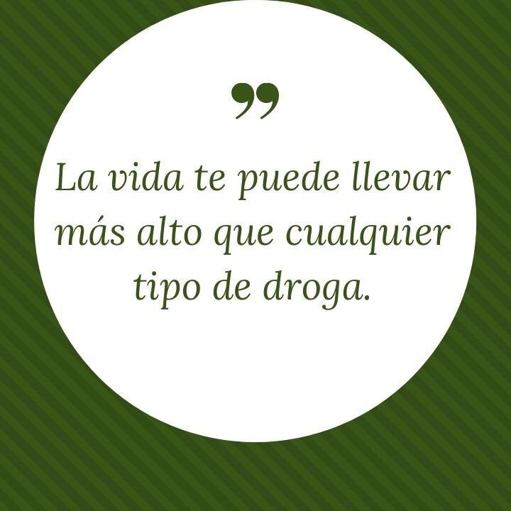 Frases Para Dejar Las Drogas