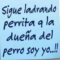 Frases Para La Socia