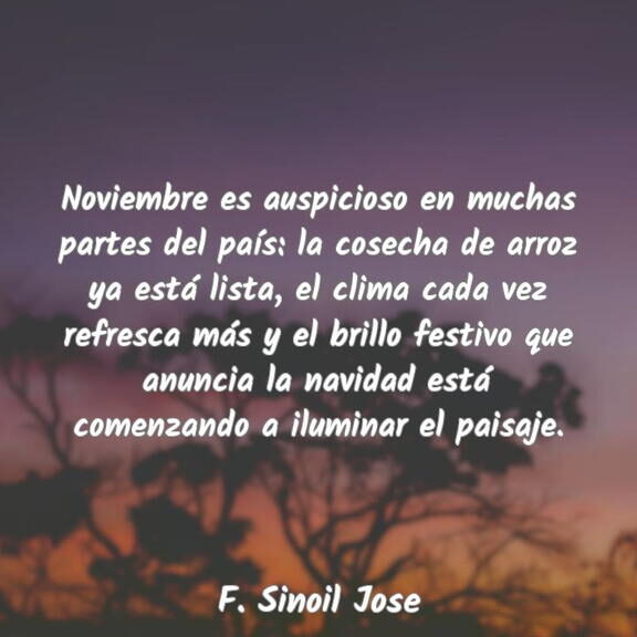 Frases Para Noviembre