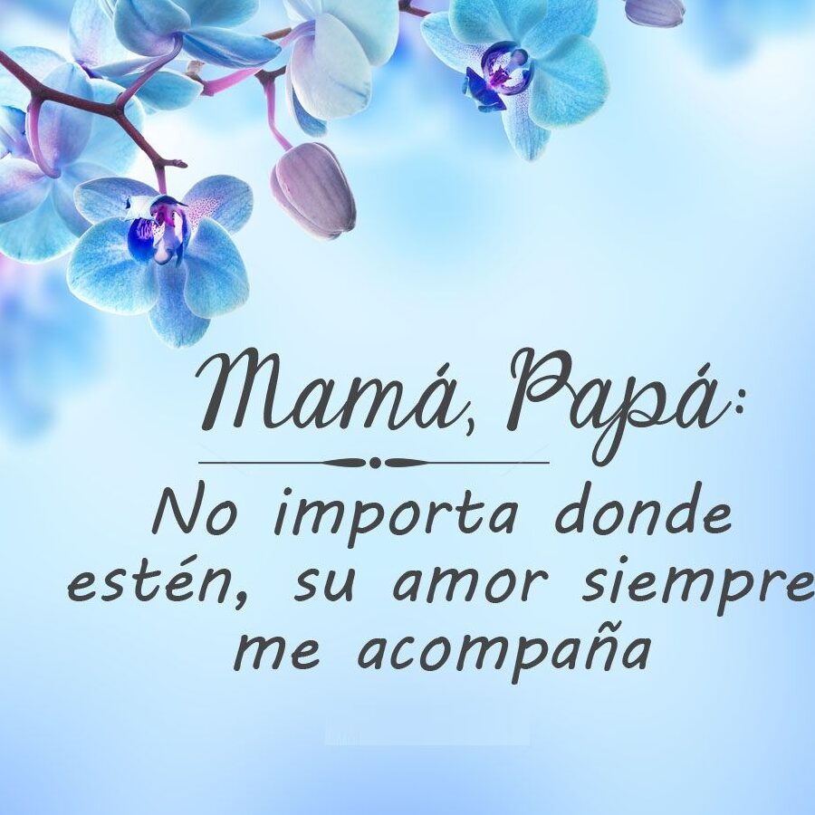 Frases Para Padres Y Madres Fallecidos