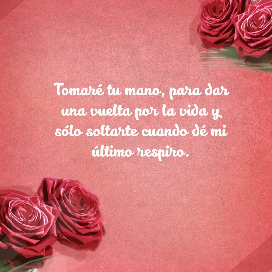 Frases Para Poner En Un Ramo De Rosas
