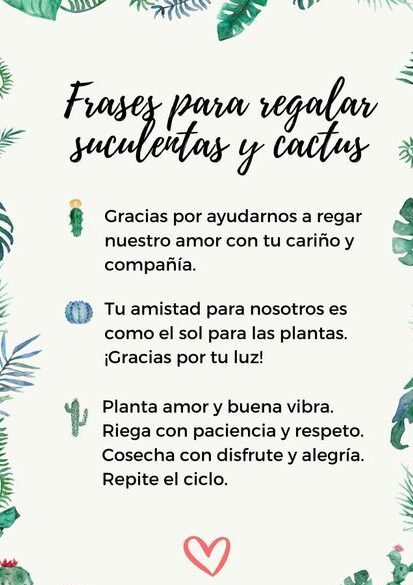 Frases Para Regalar Suculentas