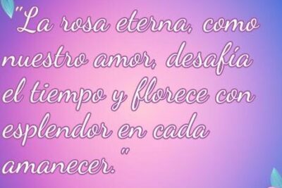 Frases Para Rosas Eternas 1 frases para rosas eternas 1