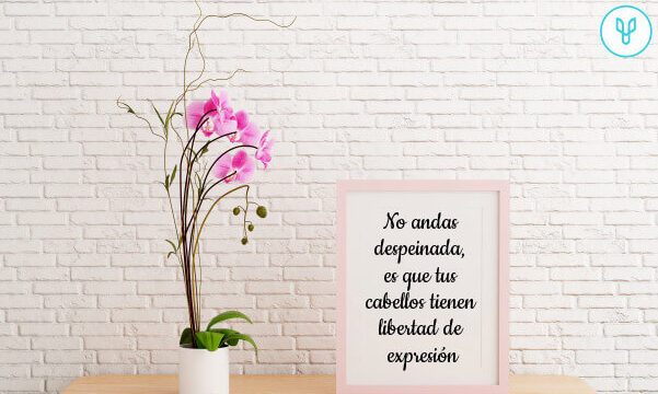 Frases Para Salón De Belleza